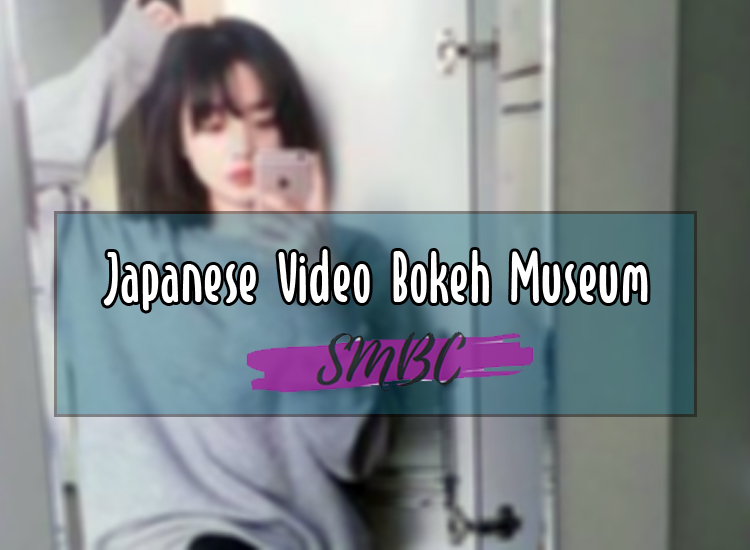 Japanese-Video-Bokeh-Museum