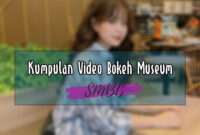 Kumpulan Video Bokeh Museum