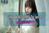 Link-Bokeh-Full-HD-No-Sensor