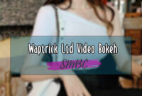 Waptrick-Ltd-Video-Bokeh1