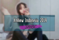 XnView Indonesia 2019