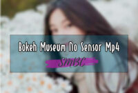 Bokeh-Museum-No-Sensor-Mp4
