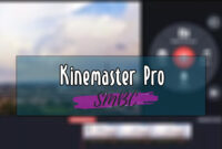 Kinemaster-Pro
