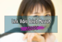 Link-Video-Bokeh-Museumm