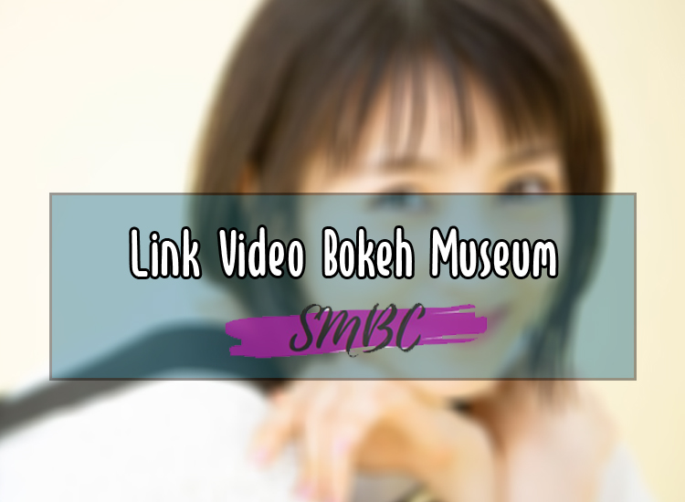 Link-Video-Bokeh-Museumm