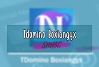 Tdomino-Boxiangyx