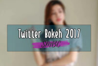Twitter-Bokeh-2017