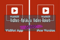 Vidhot-Aplikasi-Video-Bokeh