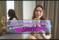 Bokeh Indonesia Museum Google Chrome