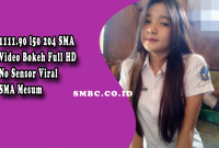 Link 1111.90 l50 204 SMA Video Bokeh Full HD No Sensor Viral